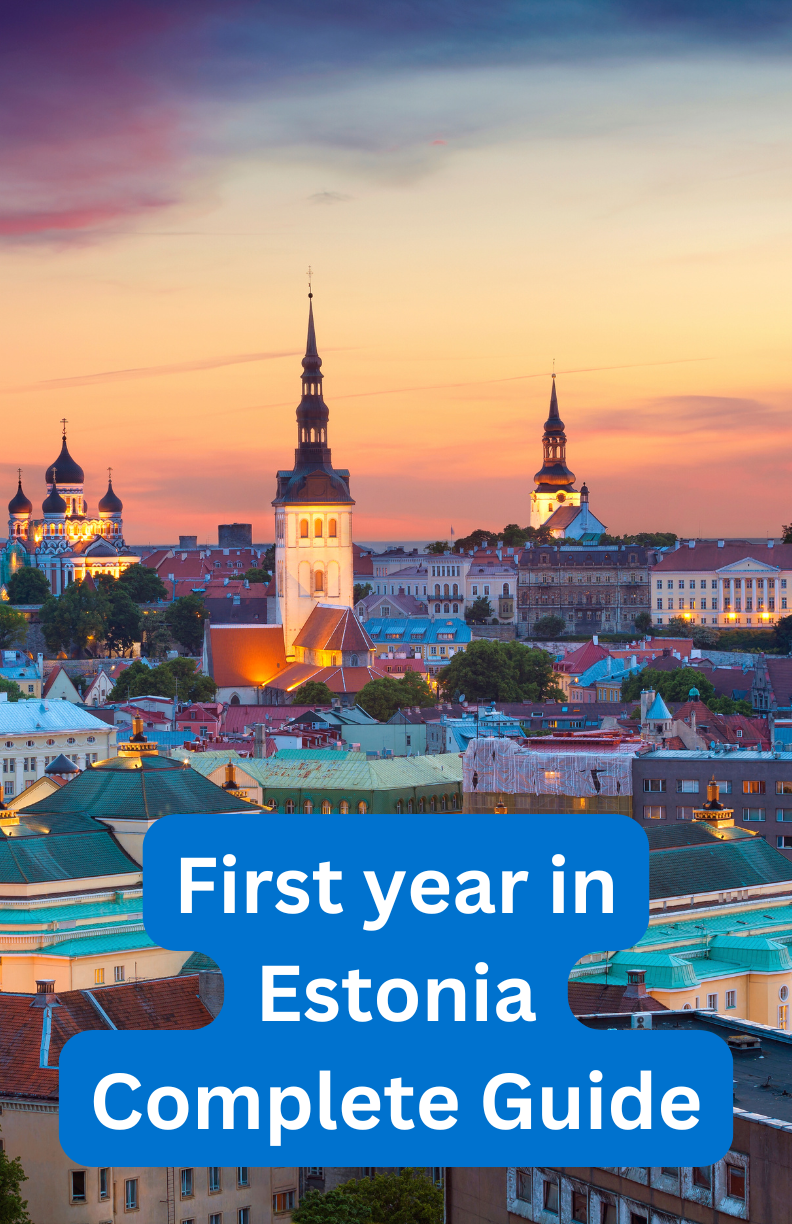 move to Estonia, Estonia, Life in Estonia