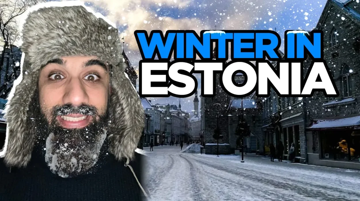 7 Winter Tips for Surviving Life in Estonia 1 Life in Estonia, Estonia, Moving to Estonia