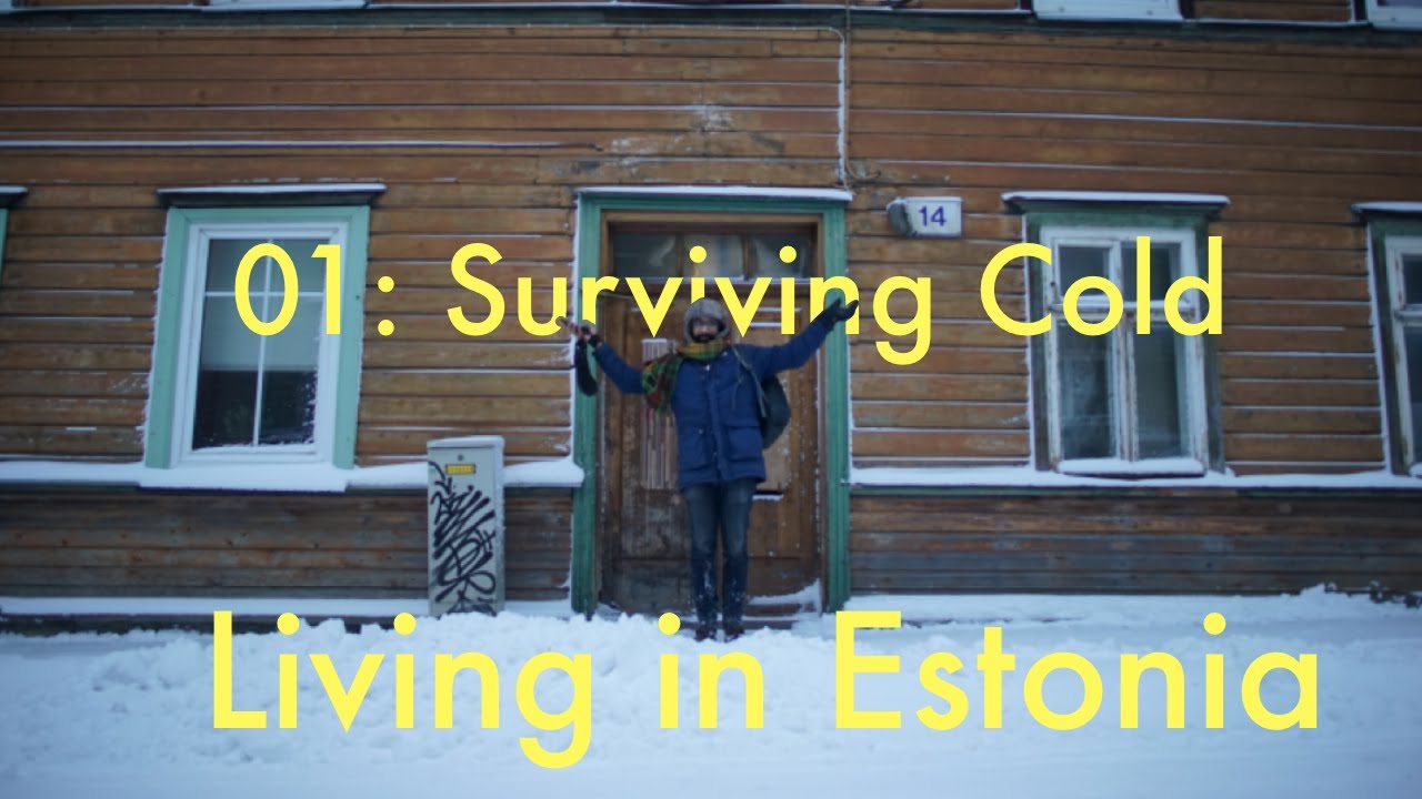 Life in Estonia, Estonia, Moving to Estonia