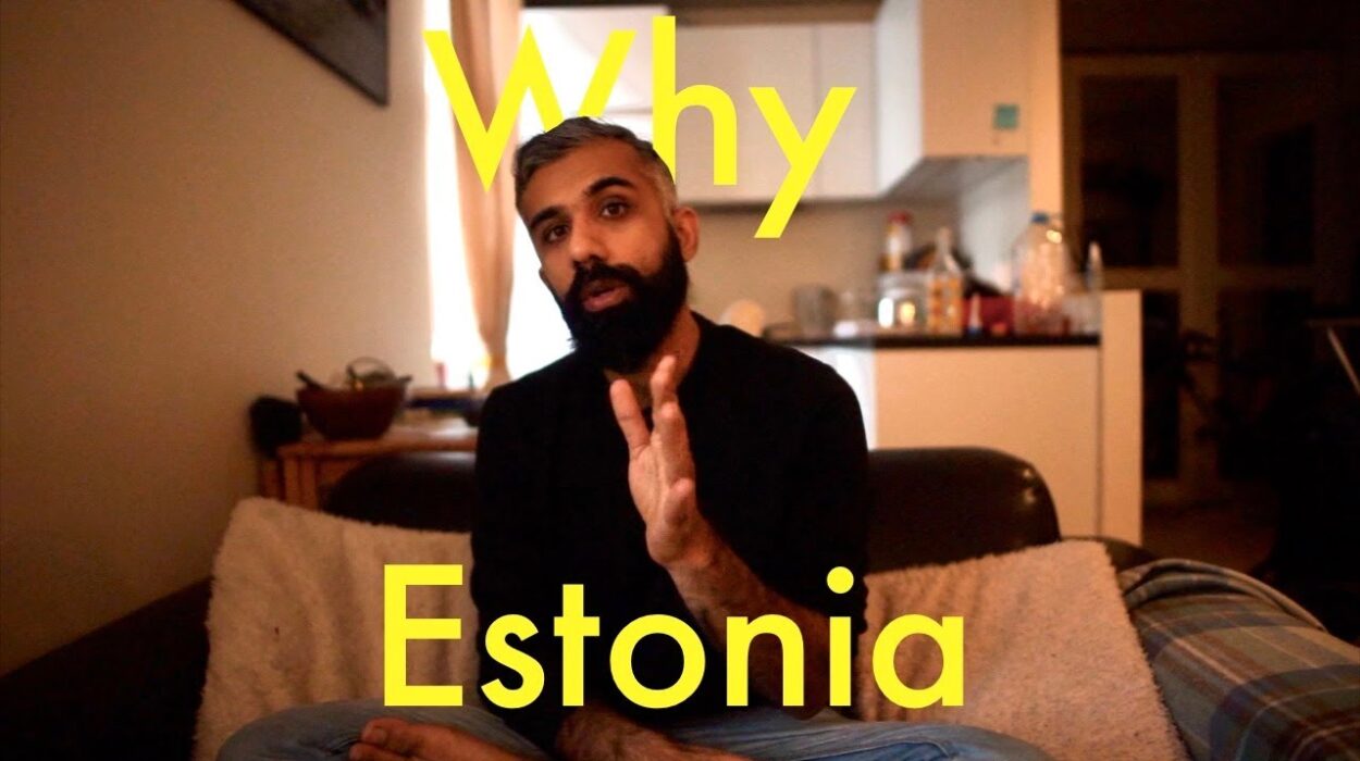 Estonian People, Life in Estonia, Estonia, Moving to Estonia