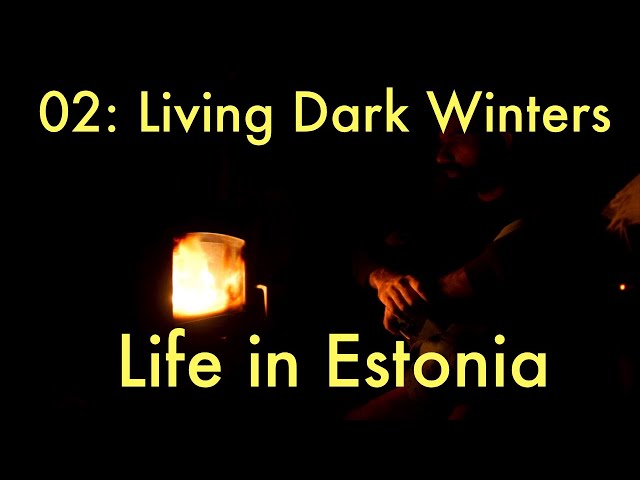 Life in Estonia, Estonia, Moving to Estonia