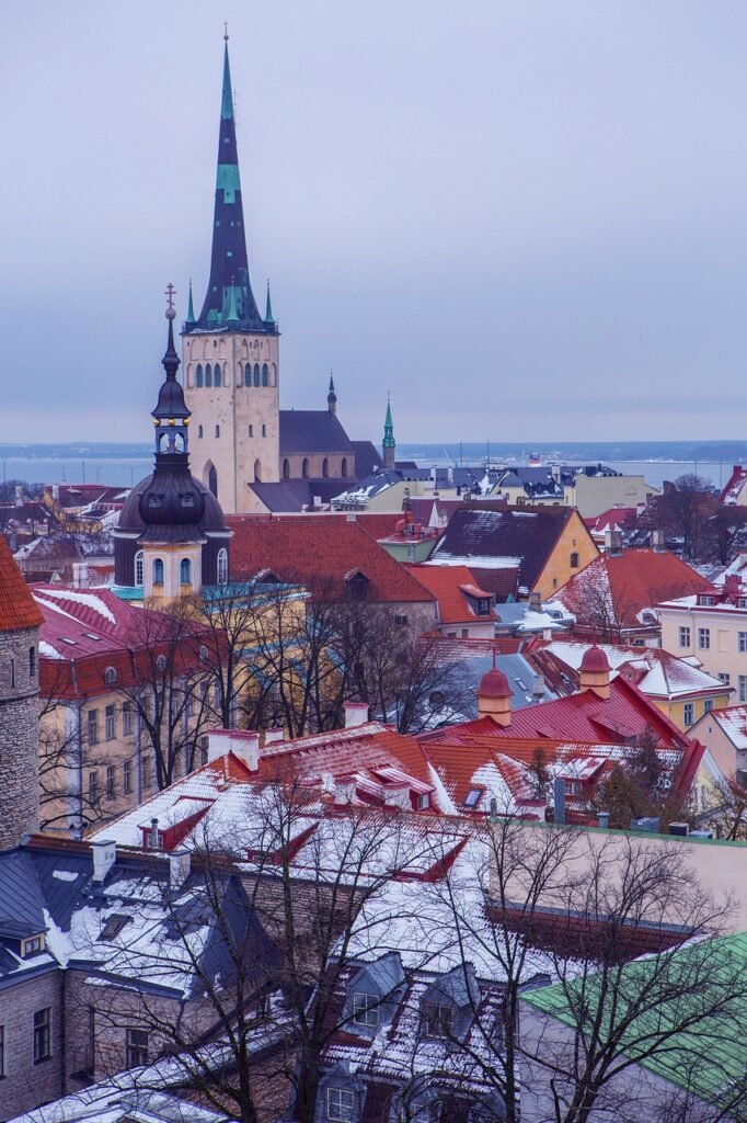 Life In Estonia, Estonia, Moving to Estonia