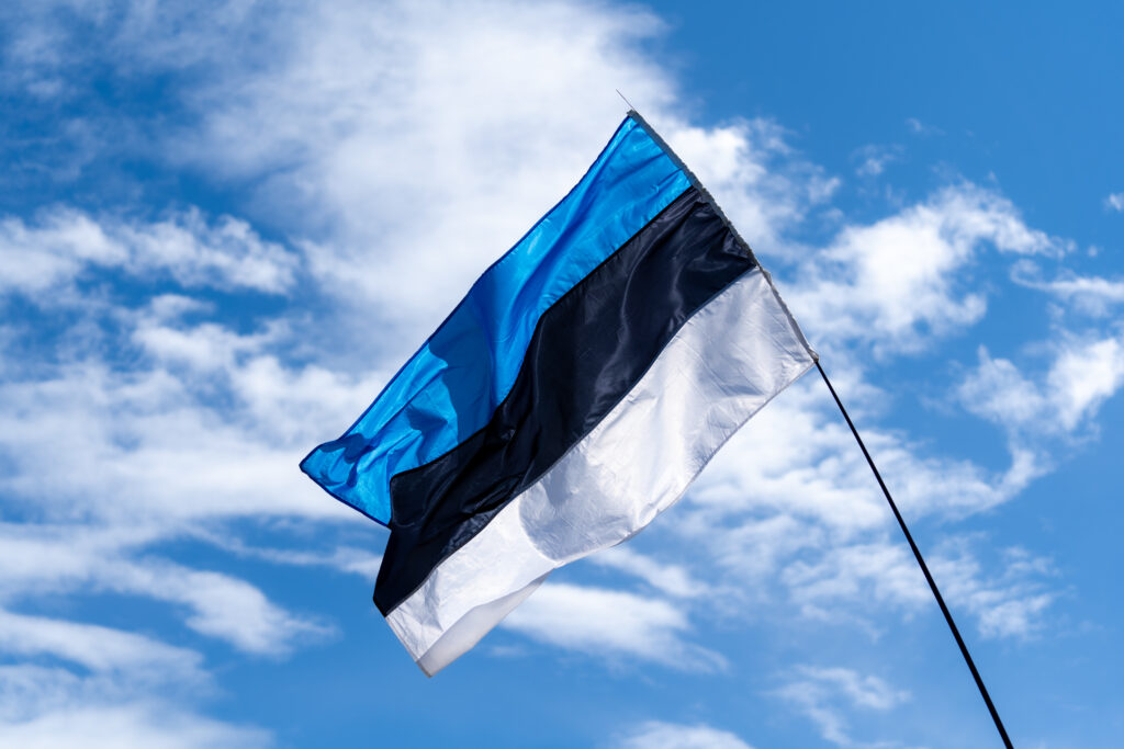 Who Estonia Is Not Right For? 2 Life In Estonia, Estonia, Moving to Estonia, Dating in Estonia